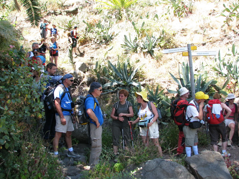 Tenerife - Canarie