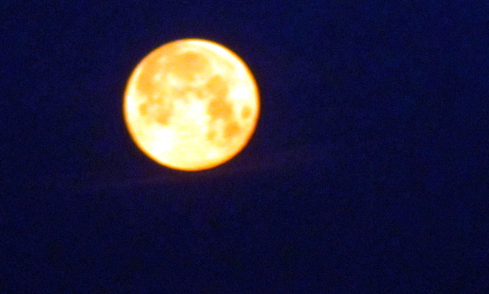 Luna Rossa