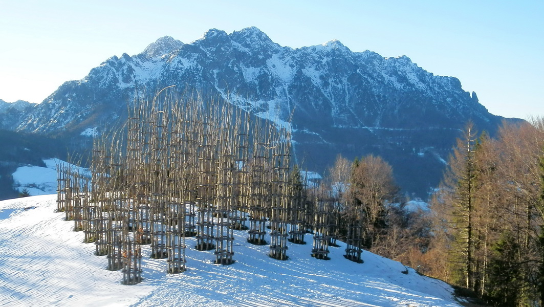 Cattedrale vegetale