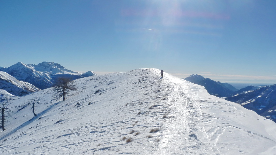 Cima d'Olino